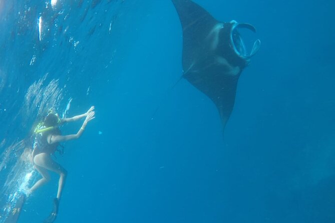From Bali One Day Nusa Penida Tours With Manta Rays Snorkeling - Tour Overview