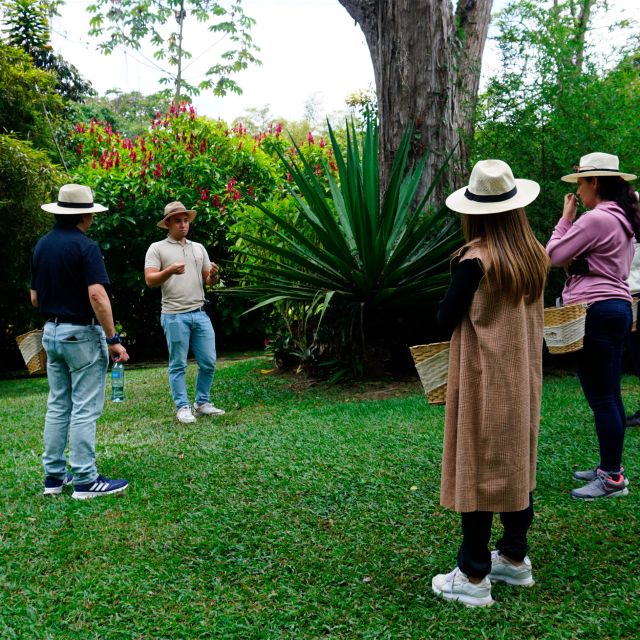 From Bogotá: Coffee Farm and Tequendama Falls Tour - Overview of the Tour