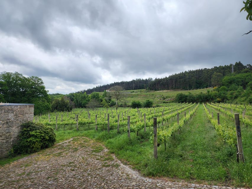 From Braga: Full-Day Tour in Guimarães & Fafe