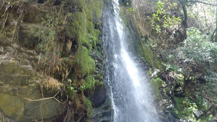 From Cajamarca: Yumagual