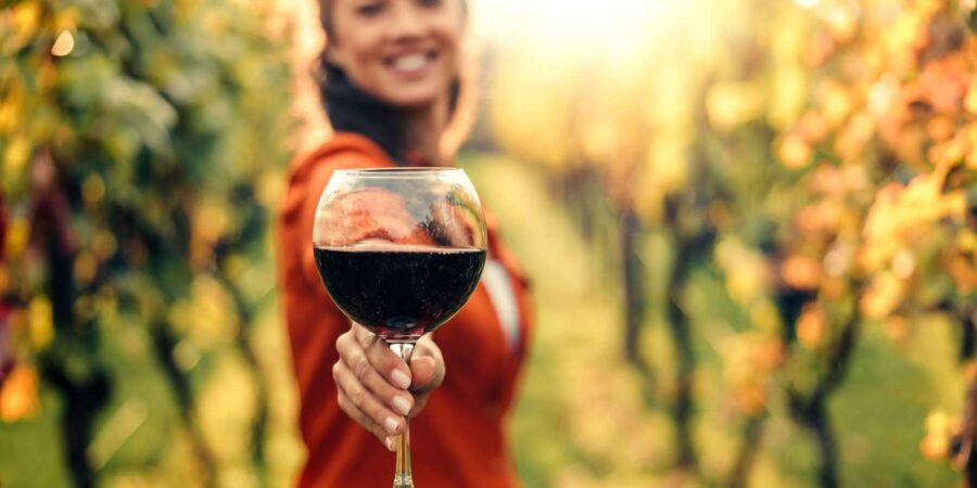 From Cape Town: Winelands Best Day Ever: Private Day Tour