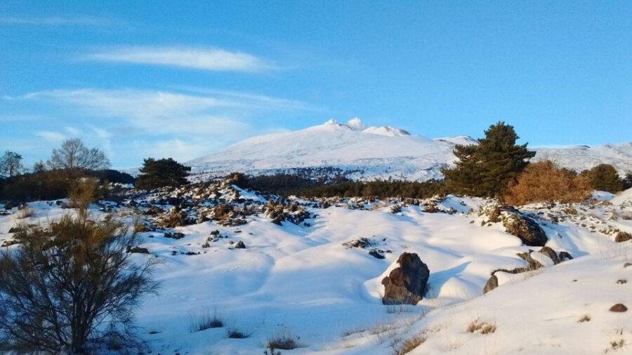 From Catania: Guided Tour of Mount Etna and Taormina