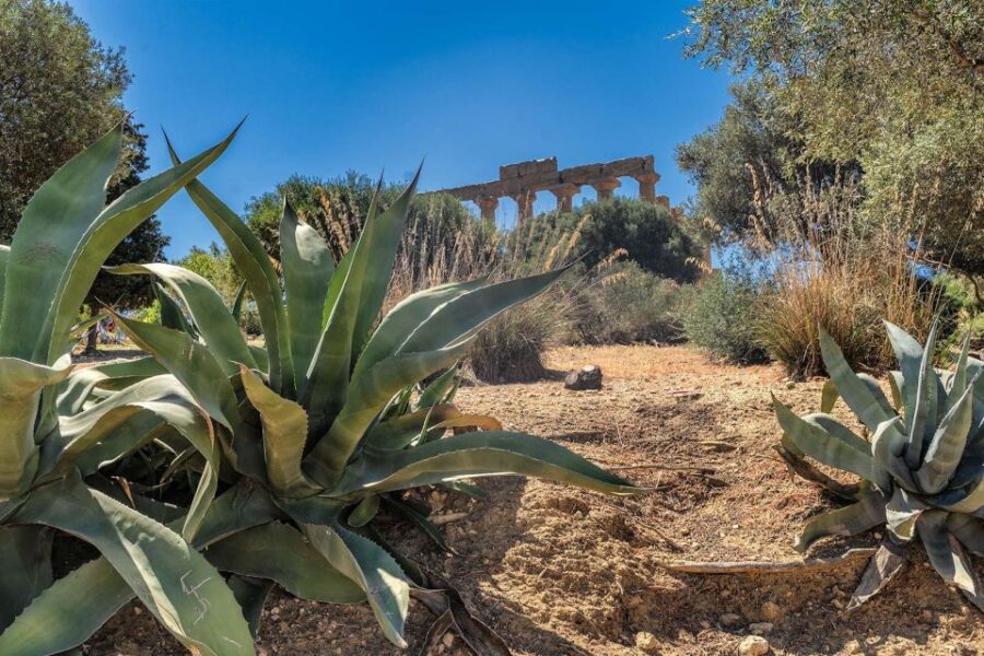From Cefalù: Guided Tour to Agrigento Valley of the Temples