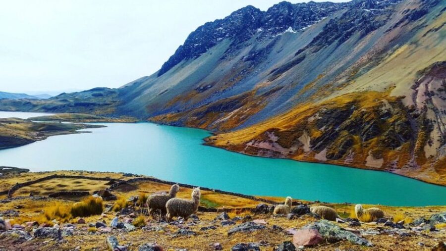 From Cusco: Ausangate 7 Lagoons Tour 1 Day.