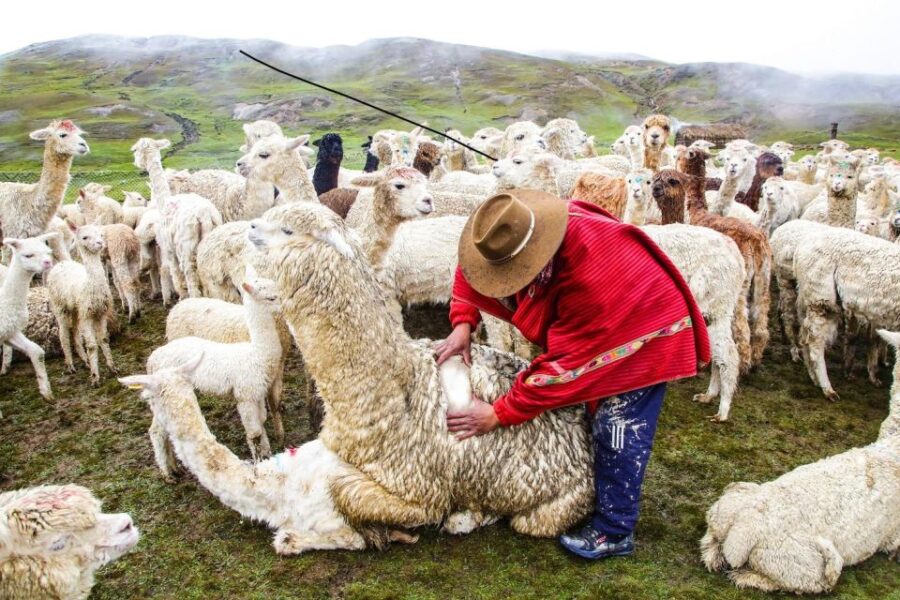 From Cusco: Hayuni Lines & Wheels (Pallay Orqo) |Full Day| - Tour Overview