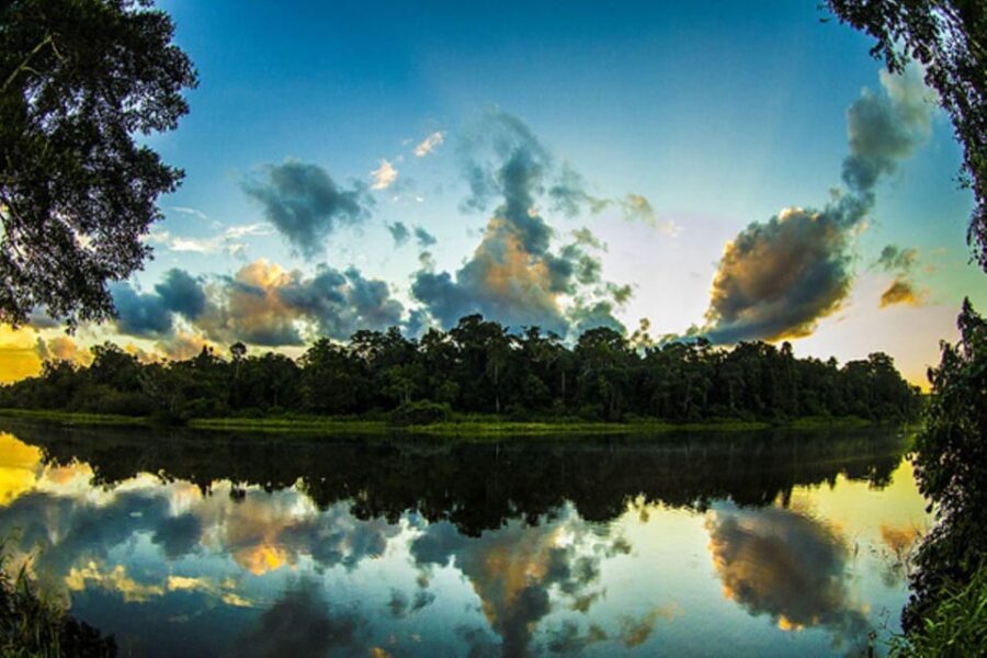 From Cusco: Manu Madre De Dios National Park Peru 7 Days
