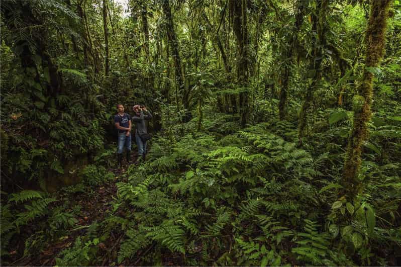 From Cusco: Manu National Park 3 Days and 2 Nights