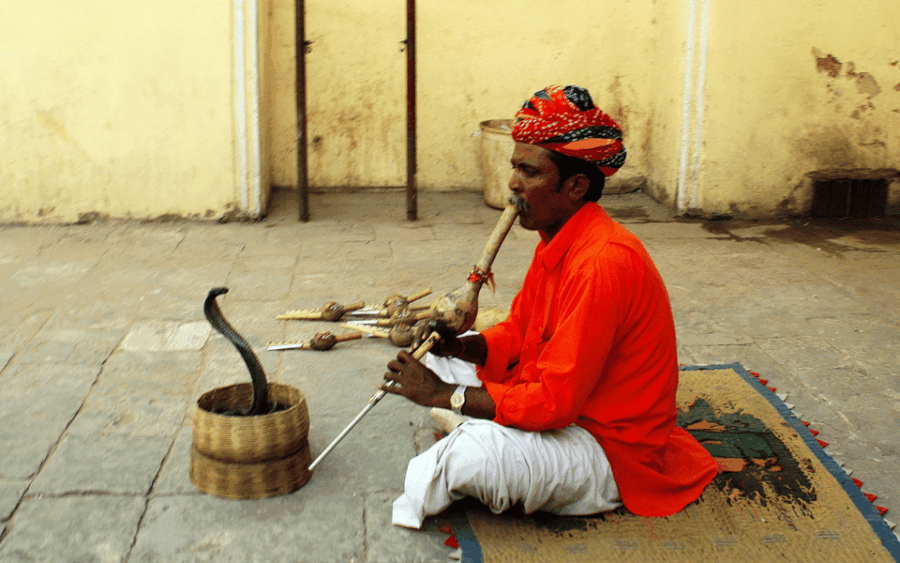From Delhi: 7-Day Golden Triangle Jodhpur Udaipur Tour