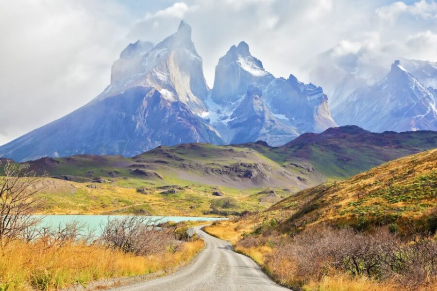 From El Calafate: Torres Del Paine Full Day Tour