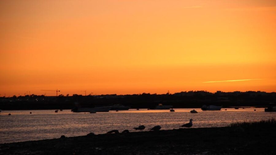 From Faro: Ria Formosa Sunset Boat Trip - Tour Overview