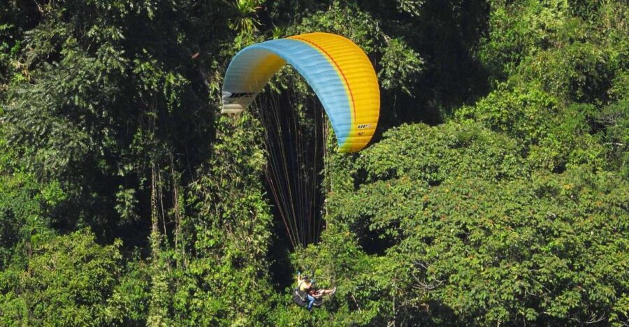 From Guatape: Paragliding Over Guacaica Jungle - Overview of the Tour