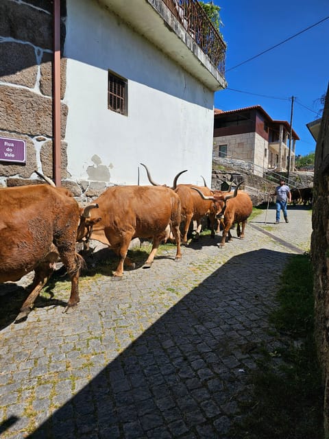 6 Best Tours In Peneda Geres National Park