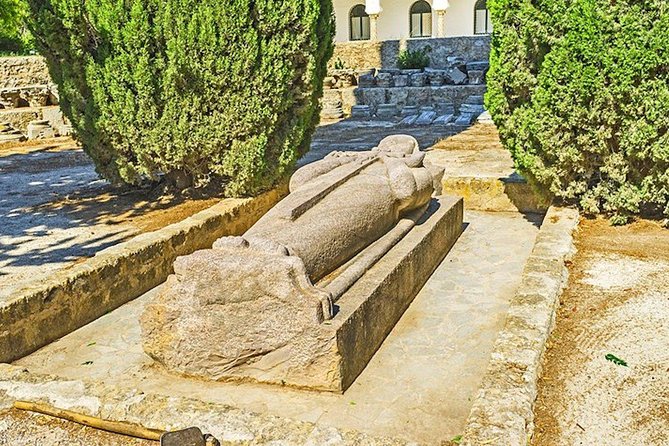 From Hammamet: Carthage, Bardo Museum, Sidi Bou Said and Medina