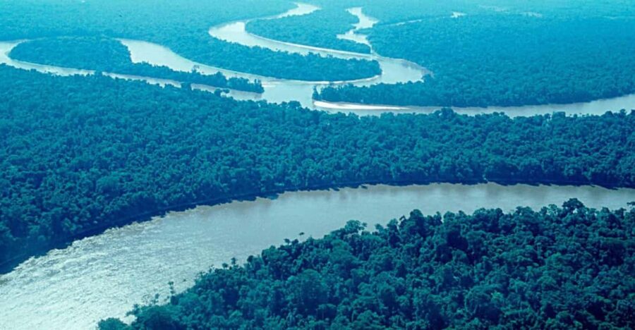 From Iquitos 2D: Amazon River | Night Walk + Monkeys | - Overview and Pricing