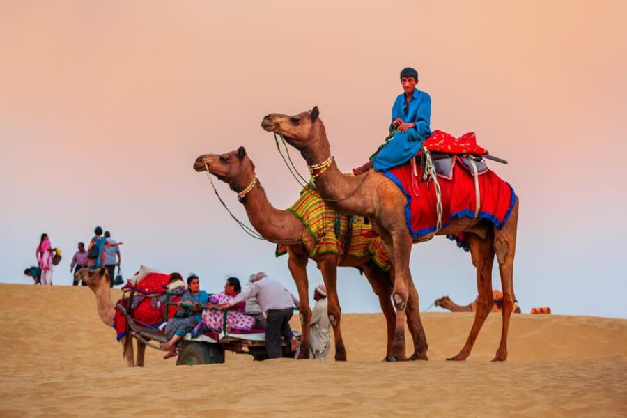 From Jaipur: 6-Day Private Rajasthan Royal Tour With Hotel