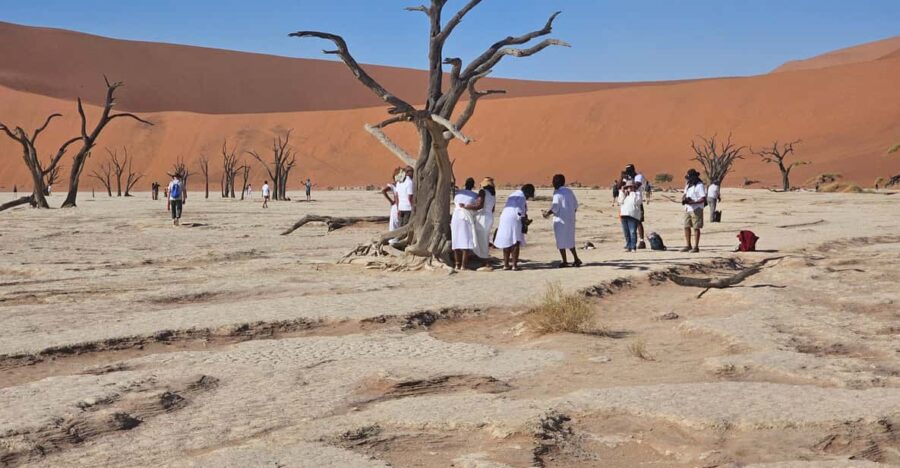 15 Best Tours In Swakopmund