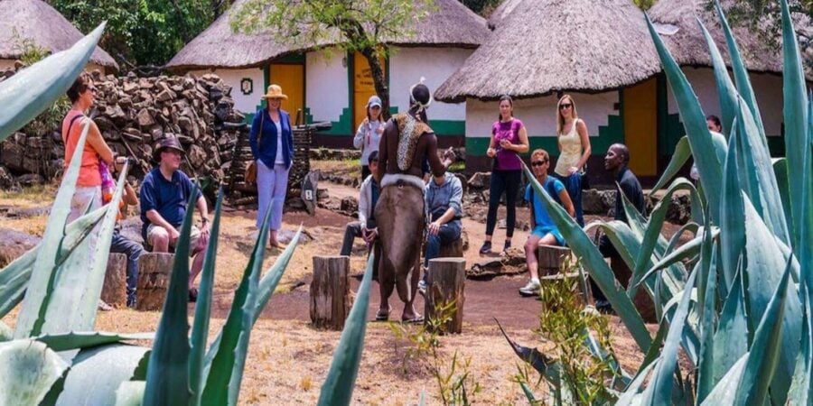 From Johannesburg : Lion Park Tour With Lesedi Village Tour