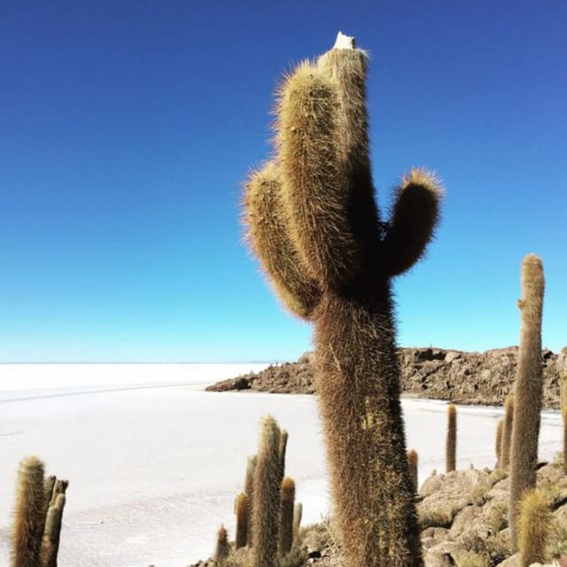 From La Paz: 3-Day Trip to La Paz and the Uyuni Salt Flats - Trip Overview