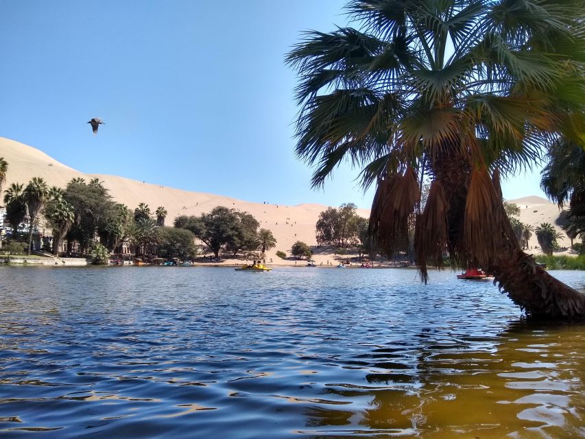 From Lima: Huacachina Oasis Tour, Winery & Desert Sunset