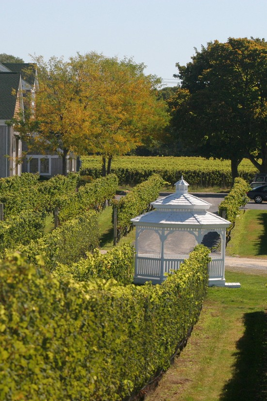 From Mattituck: Guided Brewery and Vineyard Tour by Bicycle