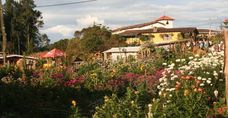 From Medellin: Flower Farm Tour