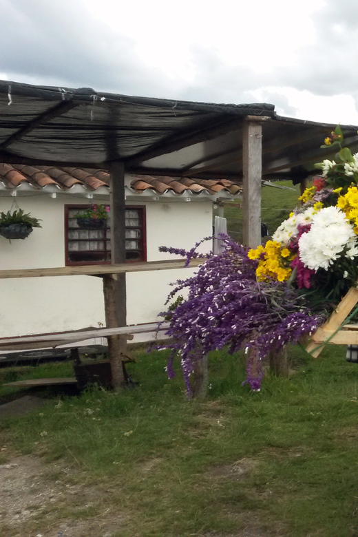 From Medellin: Flower Farm Tour
