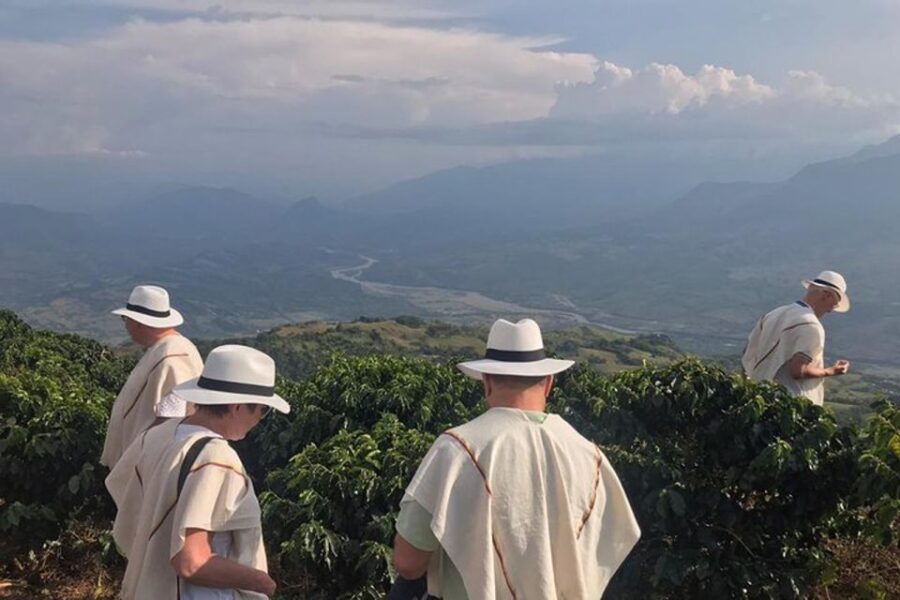 From Medellin: Full Day Fredonia Coffee Private Tour
