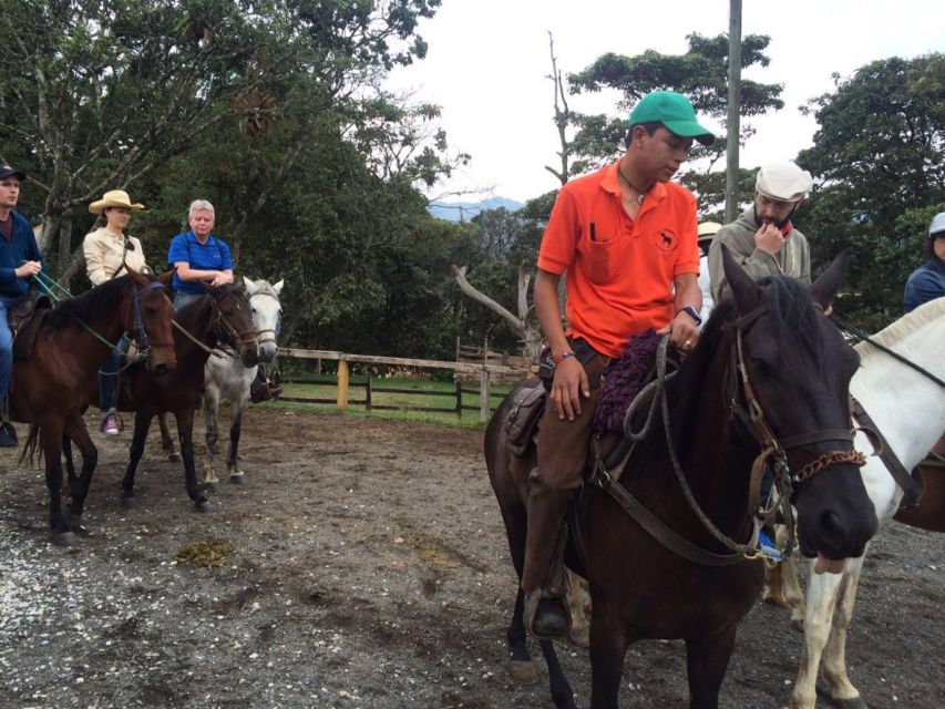From Medellin: Guided Horseback Riding Tour in Nature