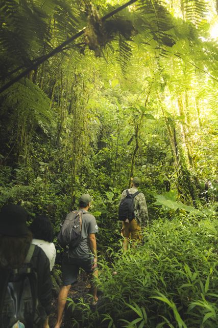From Medellin Waterfalls: Guided Hiking Tour in Nature