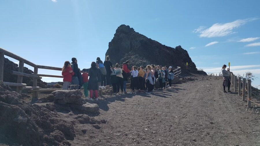 From Naples: Day Trip to Mount Vesuvius With Alpine Guide