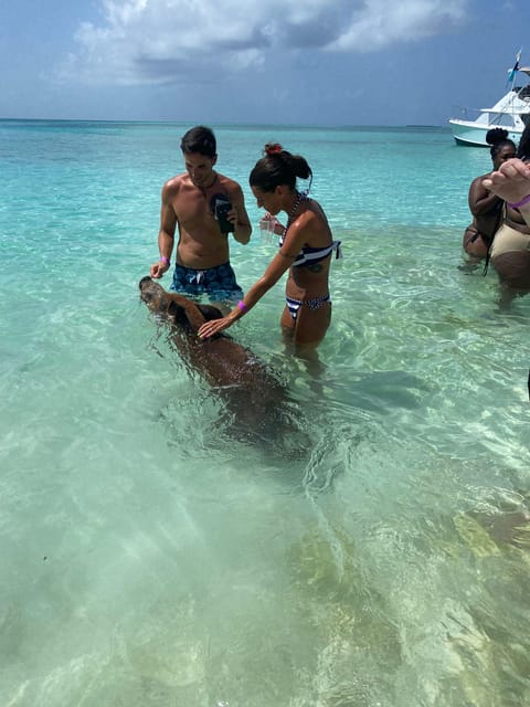 From Nassau: Boat Trip to Pig Beach With Unlimited Drinks - Tour Overview
