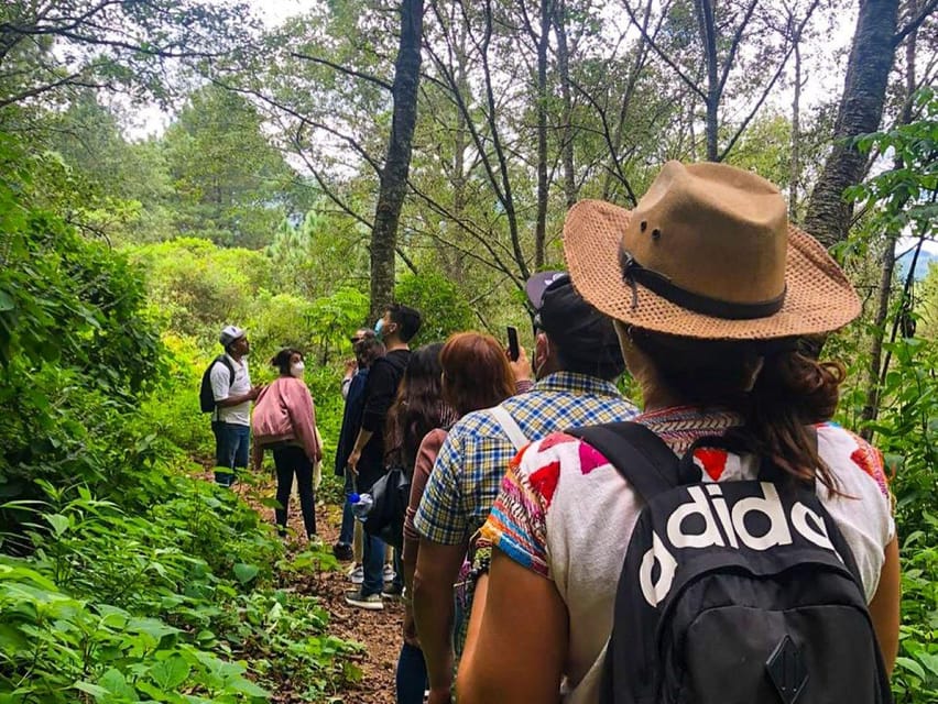 From Oaxaca: Hierve El Agua, Mitla, Tule Tree & Mezcal Tour