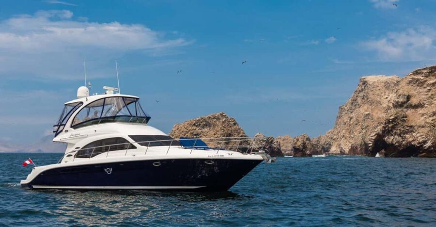 From Paracas: Exquisite Yacht Tour to the Ballestas Islands