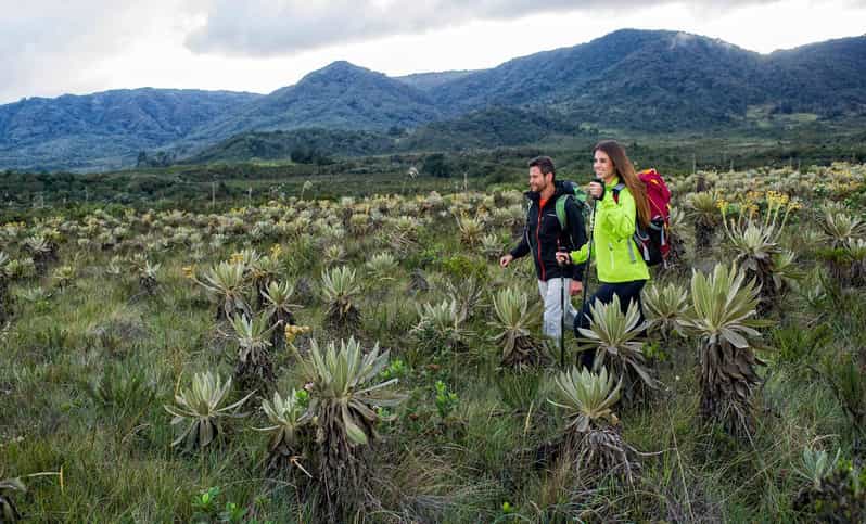 2 Best National Parks Tours In Popayan