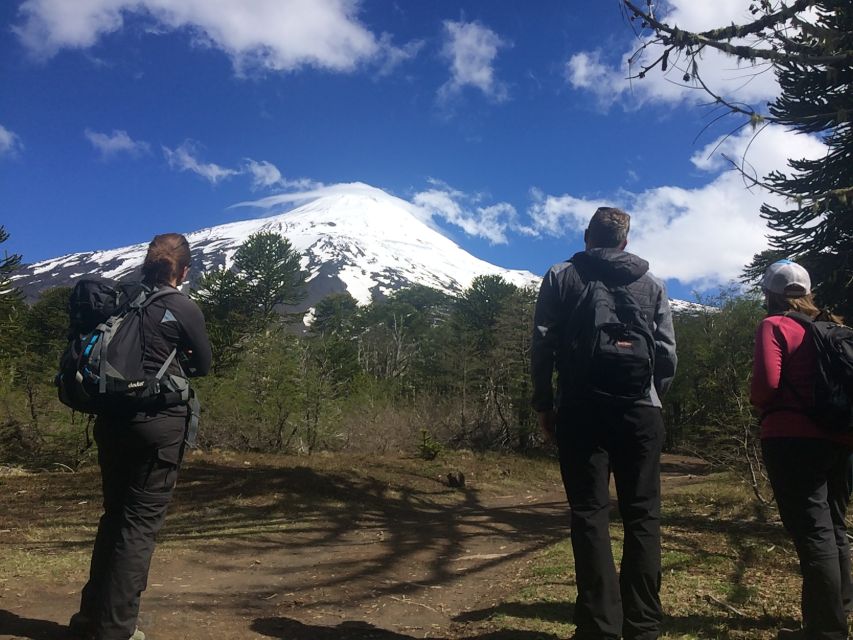 From Pucón: Lanín Volcano Guided Ascent