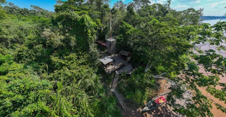From Puerto Maldonado: 4-Day Excursion /wildlifesearch