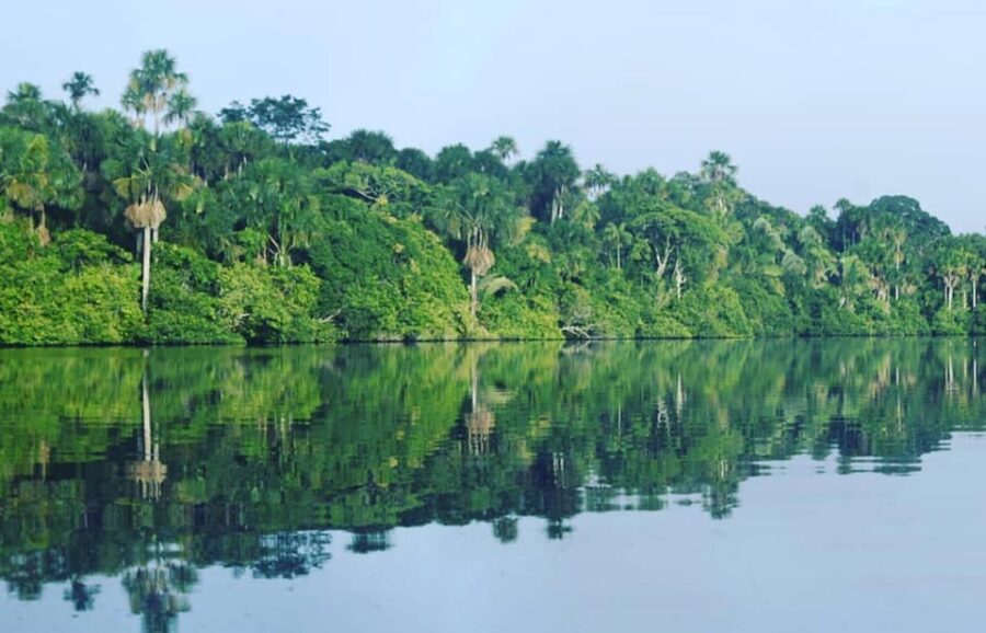 20 Best 4 Day Tours In Puerto Maldonado