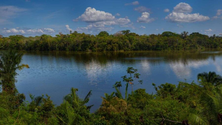 From Puerto Maldonado: Adventure in Tambopata |3Days-2Nights