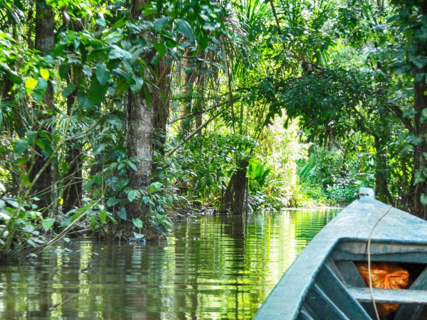 From Puerto Maldonado || Jungle Trekking + Sandoval Lake || - Activity Overview