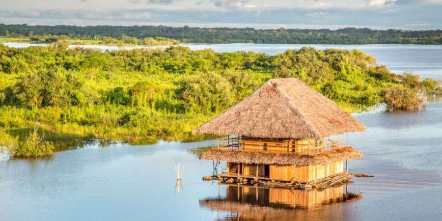 From Puerto Maldonado || Piranha Fishing and Parrot Watching - Experience Overview