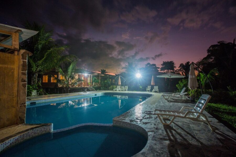 From Puerto Maldonado: Tambopata National Reserve 3-Day Tour