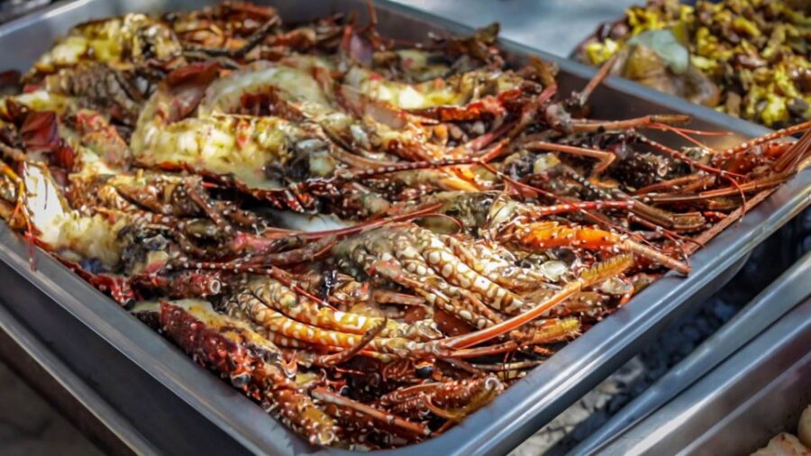 From Puerto Plata: Cayo Arena Private Catamaran Trip & Lunch