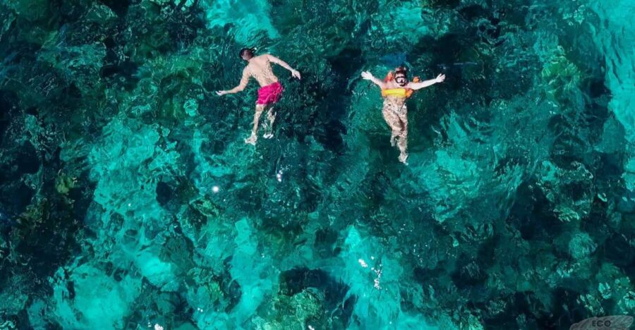 10 Best Tours In Catalina Island