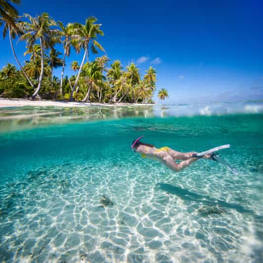 From Punta Cana: Isla Saona Full-Day Tour With Buffet Lunch - Tour Overview and Pricing