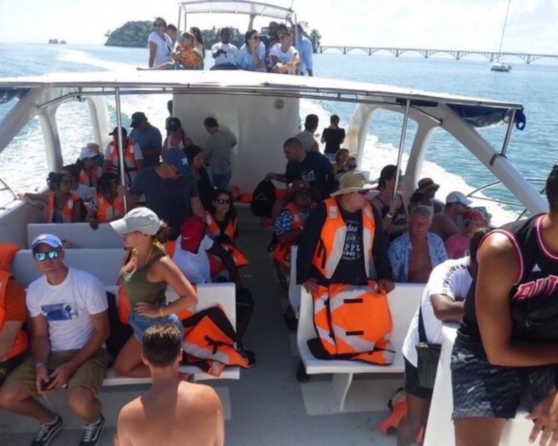 From Punta Cana: Samana Cayo Levantado / Whales - Tour Overview and Pricing