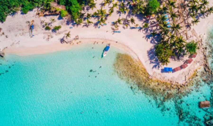 From Punta Cana: Saona Island Full Day Tour W/ Food & Drinks