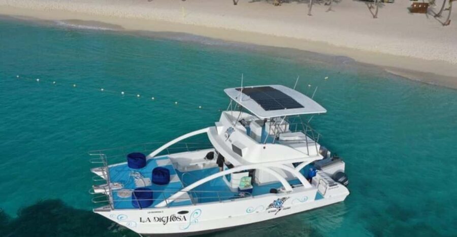 From Punta Cana: Saona Island Private Catamaran Day Trip