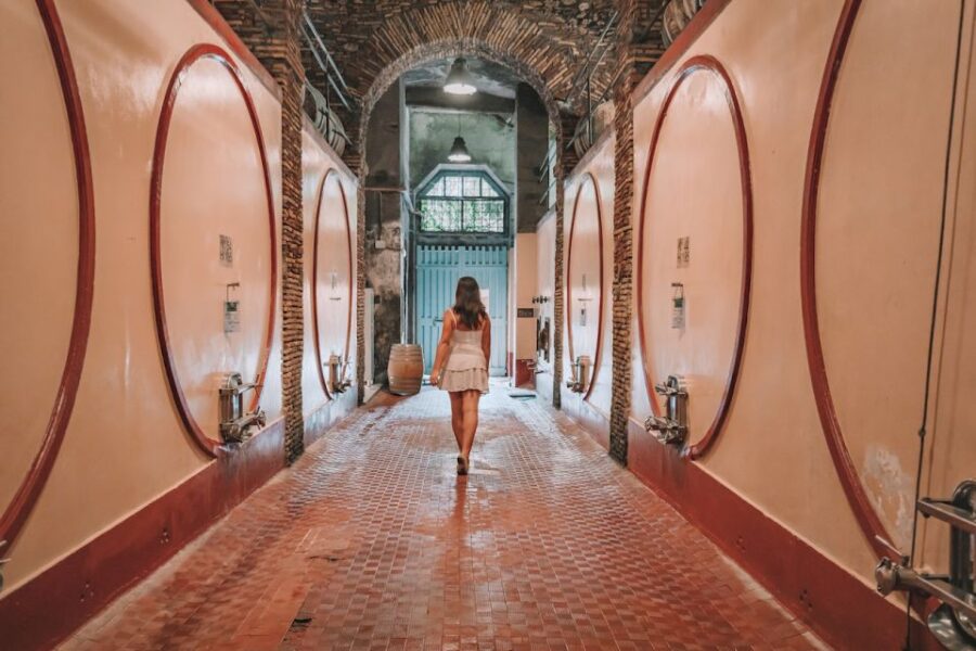 From Rome: Food & Wine Tasting in a Medieval Cellar