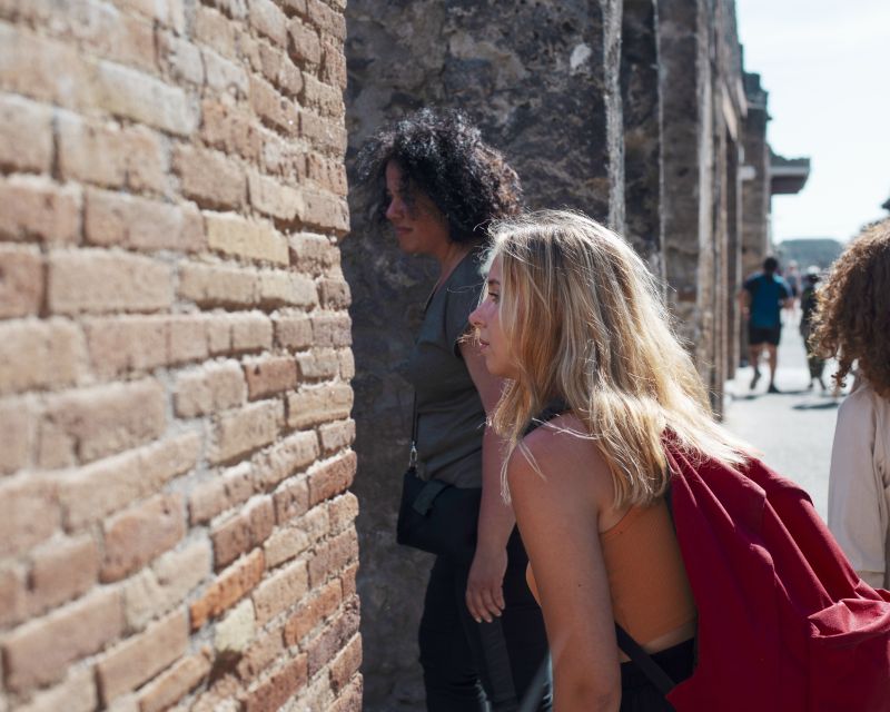 From Salerno: Pompeii Guided Walking Tour With Ticket - Tour Overview
