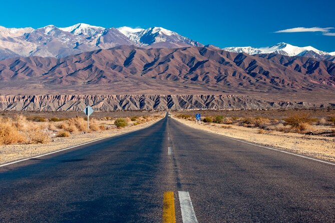 From Salta: Full-Day Tour to Cachi and Los Cardones National Park